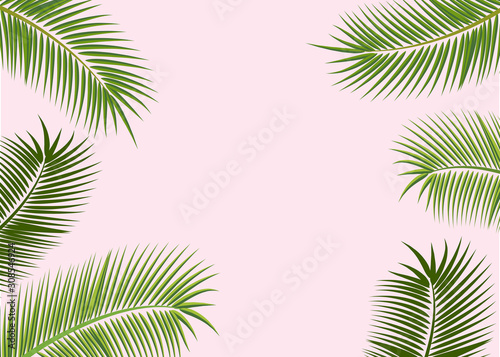 Flat lay leaves and branches of palm trees. © gala