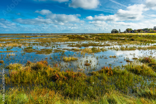 Morston salt Marshes seen from the Blakeney to Morston coastal path, Norfolk photo