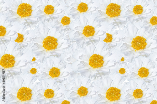 Floral pattern of white peonies with yellow centers.