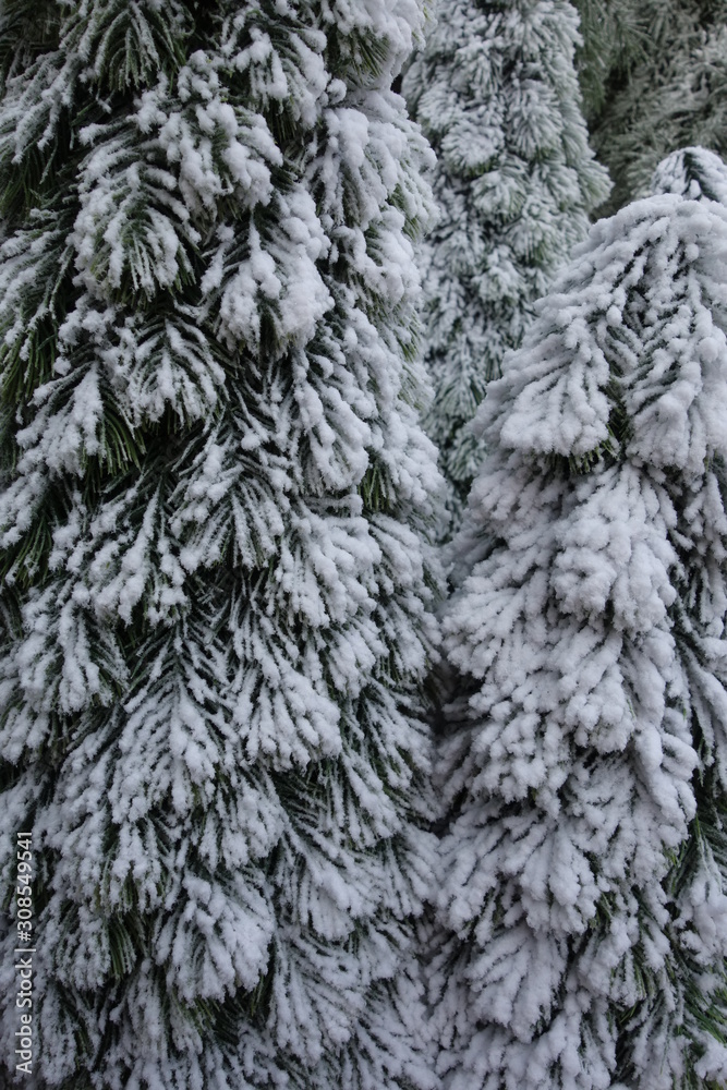 Macro of a small fake pine tree with snowy leaves. Macro of a small fake pine tree with snowy leaves.