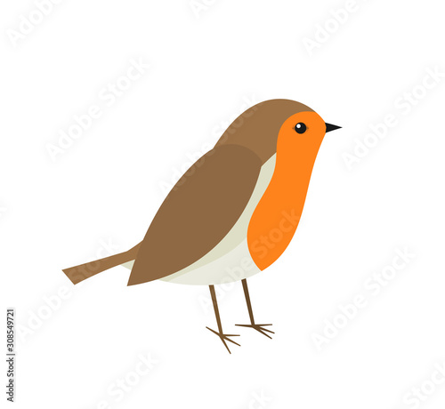 Fotografie, Obraz Cute robin bird.