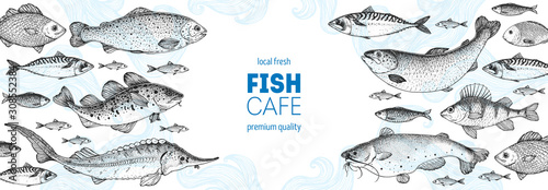Fish sketch collection. Hand drawn vector illustration. Seafood frame. Food menu illustration. Hand drawn sturgeon, tuna, cod fish, herring, rainbow trout, mackerel, salmon, perch. Engraved style