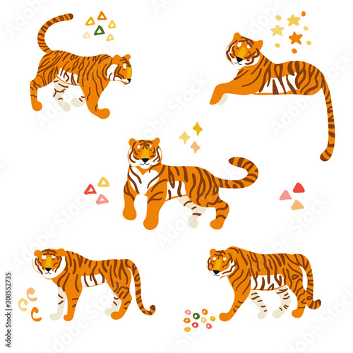 Canvas Print Tigers