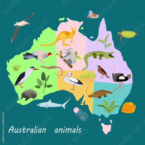 Vector illustration of Australia map with birds and animals. Fauna of the Australian continent.