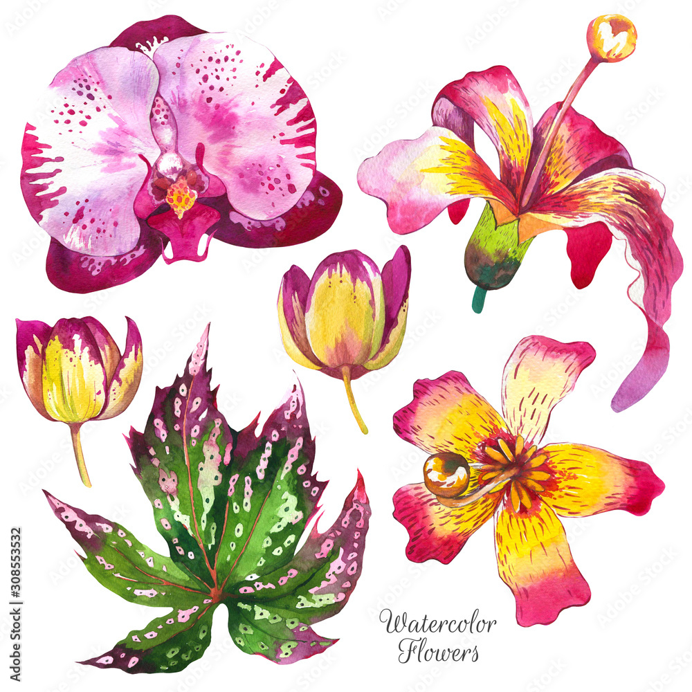 Exotic flowers watercolor illustrations set. Lilly, orchid, begonia, floral sketch. Tropical blossom, leaves realistic watercolor cliparts. Calla lily with aquarelle texture. Postcard design