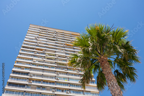 building and palms
