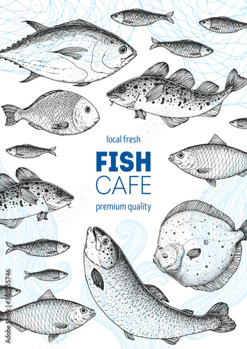 Fish sketch collection. Hand drawn vector illustration. Seafood frame vector illustration. Food menu illustration. Hand drawn tuna, salmon, flounder, cod fish, herring. Engraved style.