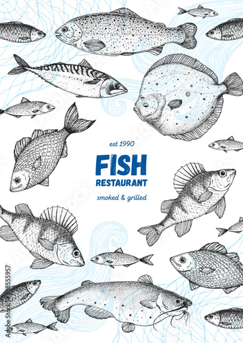 Fish sketch collection. Hand drawn vector illustration. Seafood frame vector illustration. Food menu illustration. Hand drawn flounder, mackerel, perch, catfish, bream. Sea and river fish. photo