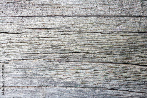 wooden grey texture as background