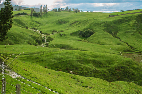New Zealand - Matamata - land of the hobbits