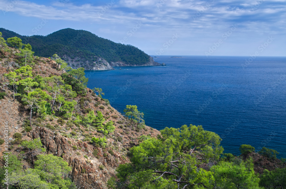 Mountain vegetation on the Mediterranean coast Mountain vegetation on the Mediterranean coast