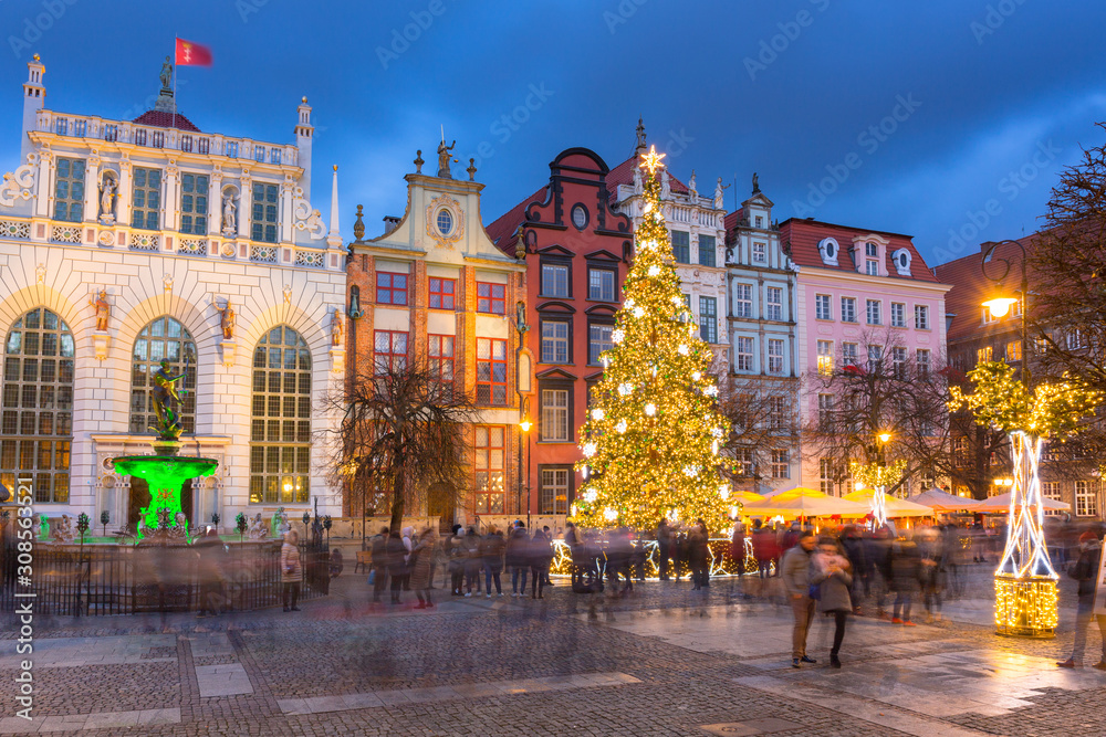 Long Lane in Gdansk with beautiful christmas tree at dusk, Poland