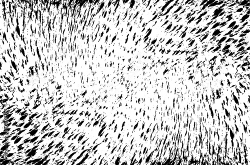 Rough black and white texture vector. Distressed overlay texture. Grunge background. Abstract textured effect. Vector Illustration. Black isolated on white background. EPS10.