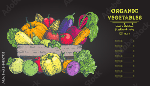 Fototapeta Naklejka Na Ścianę i Meble -  Harvest of vegetables in the basket. Hand drawn vector illustration. Engraved style.