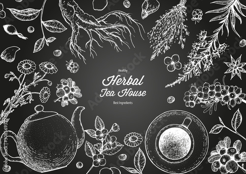 Herbal Tea shop frame vector illustration. Vector design with herbal tea ingredients. Hand drawn sketch collection. Engraved style.