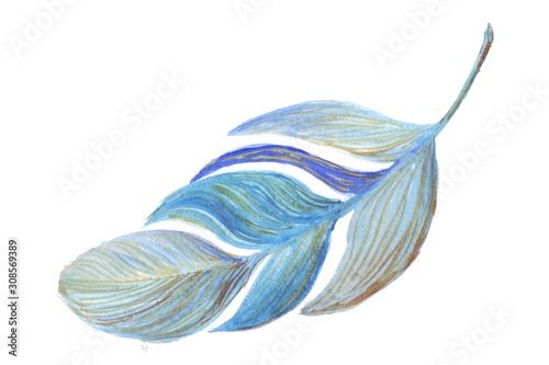 Feather for the feast of February 14th. Watercolor hand drawn illustration for Valentine's day