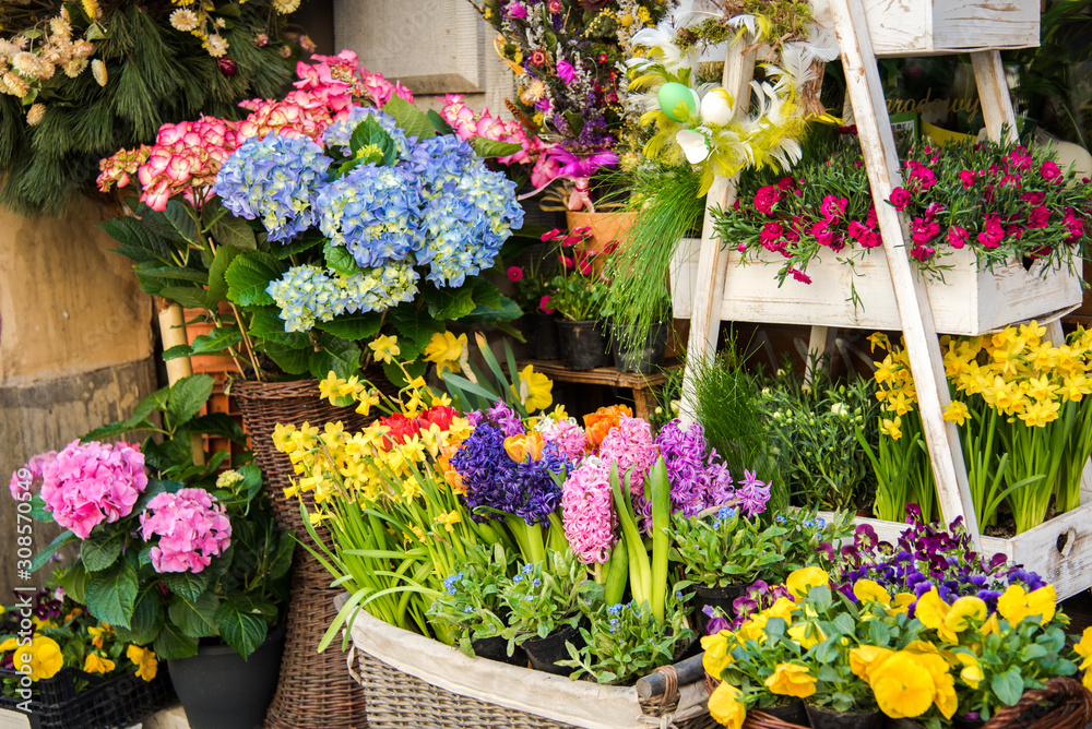 Beautiful blossoming flowers in a flower shop. Springtime sale of fresh flowers.
