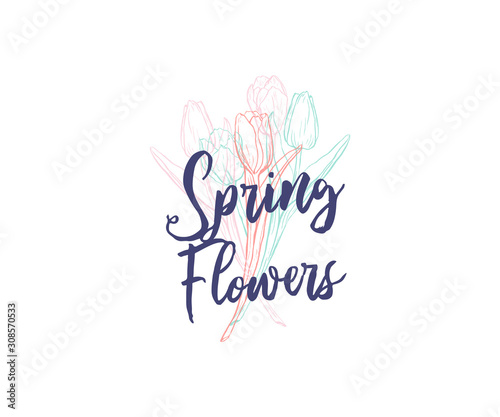 Crayon stile hand drawn tulips vertical greeting card template with text. Banner with spring flowers on white background. Top view flowers in pale tender colors