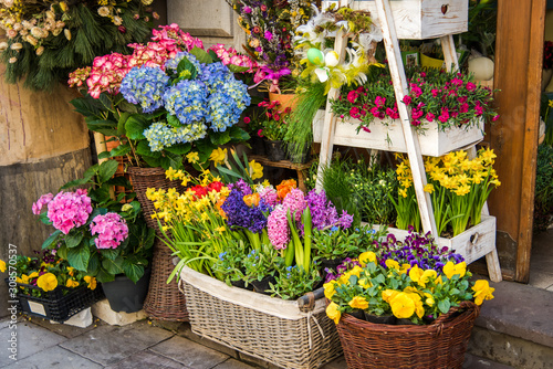 Fototapeta Naklejka Na Ścianę i Meble -  Beautiful blossoming flowers in a flower shop. Springtime sale of fresh flowers.