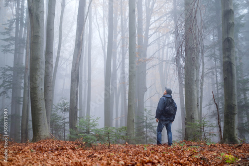 Man in the mysterious dark beech forest in fog. Autumn morning in the misty woods. Magical foggy atmosphere. Landscape photography