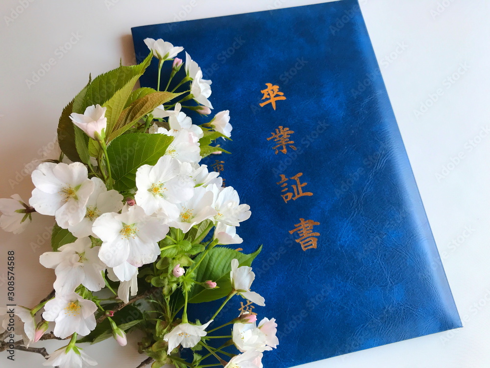 春の門出 卒業証書と桜 Stock Photo Adobe Stock
