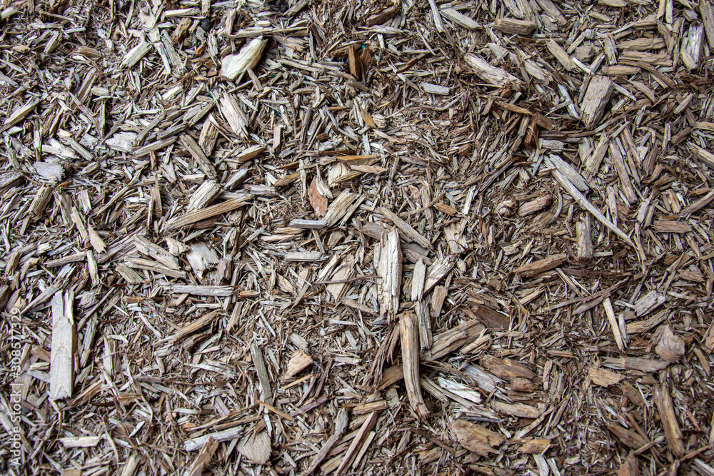 Many chips of wood covering the soil in the entire frame of the picture Many chips of wood covering the soil in the entire frame of the picture