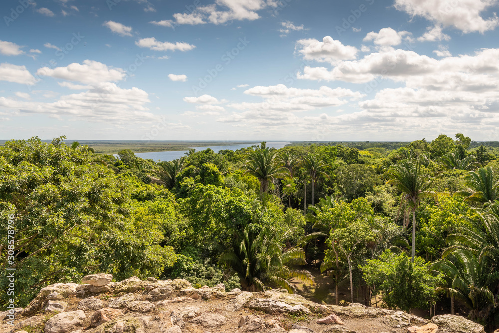 Fototapeta premium A view of the jungle and New River from the top of the High Temple at Lamanai Archaeological site.