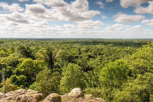 A view of the sky and jungle from the top of the High Temple at Lamanai Archaeological site.