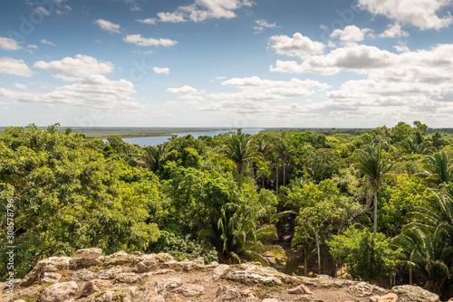 A view of the jungle and New River from the top of the High Temple at Lamanai Archaeological site.