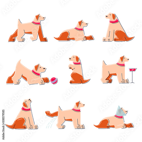 Cartoon dog set. Pets play, running, eating, sit, lay down and walk, steal food, has sick, serves and howls. Vectorillustration on isolated background.