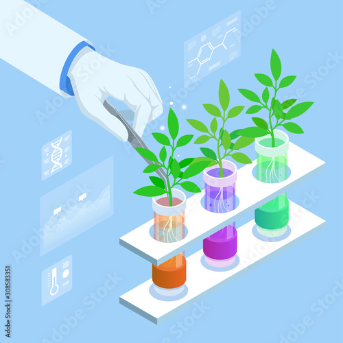 Isometric concept of laboratory exploring new methods of plant breeding and agricultural genetics. Plants growing in the test tubes. Organic food ,agriculture and hydroponic