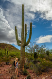 Female nature lover admiring the saguaro cactus (Carnegiea gigantea) in Saguaro National Park, Arizona