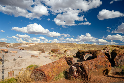 Petrified Forest National Park, Arizona, USA photo