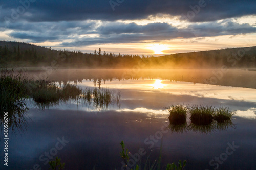 Russian northern landscape. Kola Peninsula  the Arctic. Murmansk region. Swamp with morning haze at sunrise