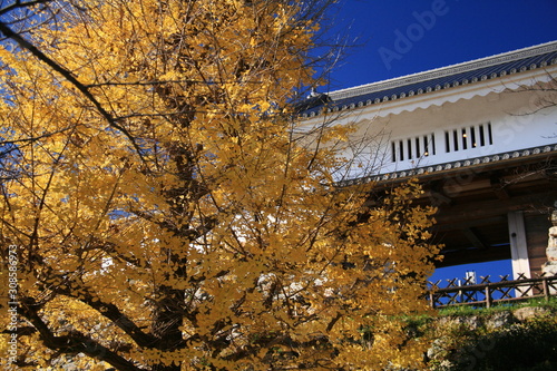 日本の秋　紅葉と浜松城天守門 photo