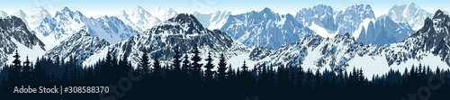 vector seamless Rocky Mountain National Park with woodland background illustration