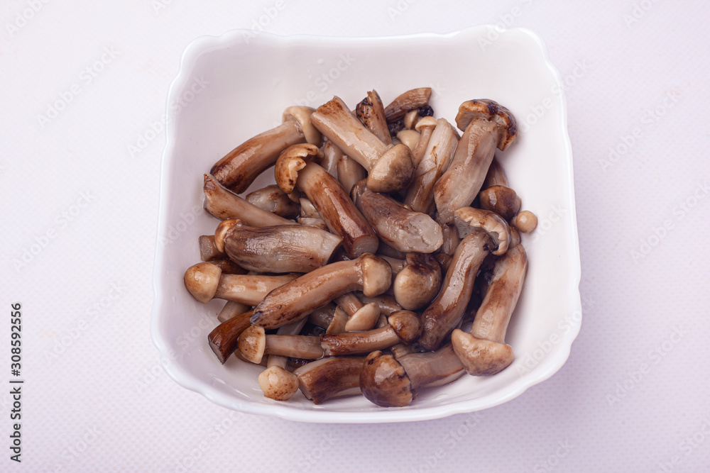 pickled honey agaric. mushrooms honey fungus in a white plate. pickled honey agaric. mushrooms honey fungus in a white plate.