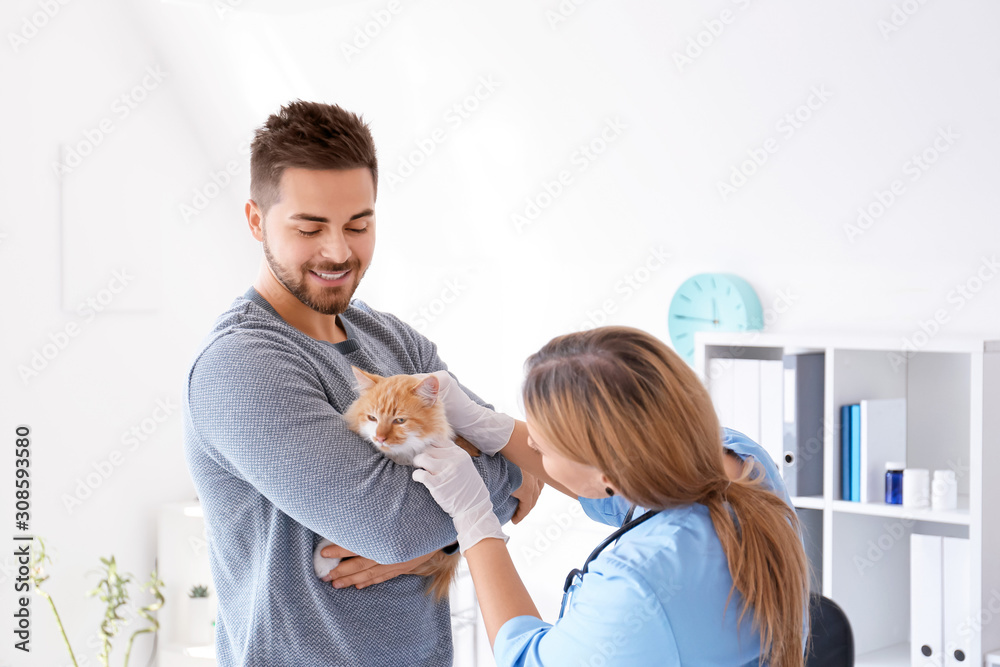 Fototapeta premium Owner with cat visiting veterinarian in clinic
