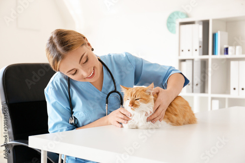 Female veterinarian examini...