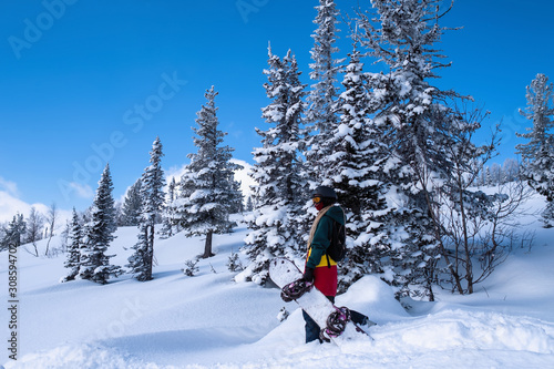 Woman with snowboard in the mountains stands on a snowy slope among the Alpine Christmas trees.