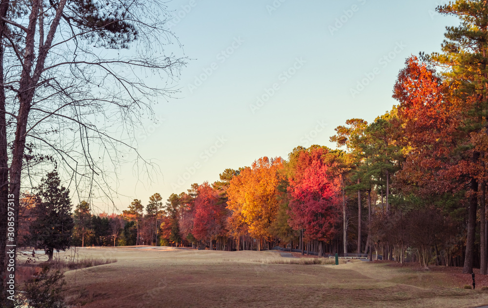 Outdoor scene of a field in an autumn sunny day