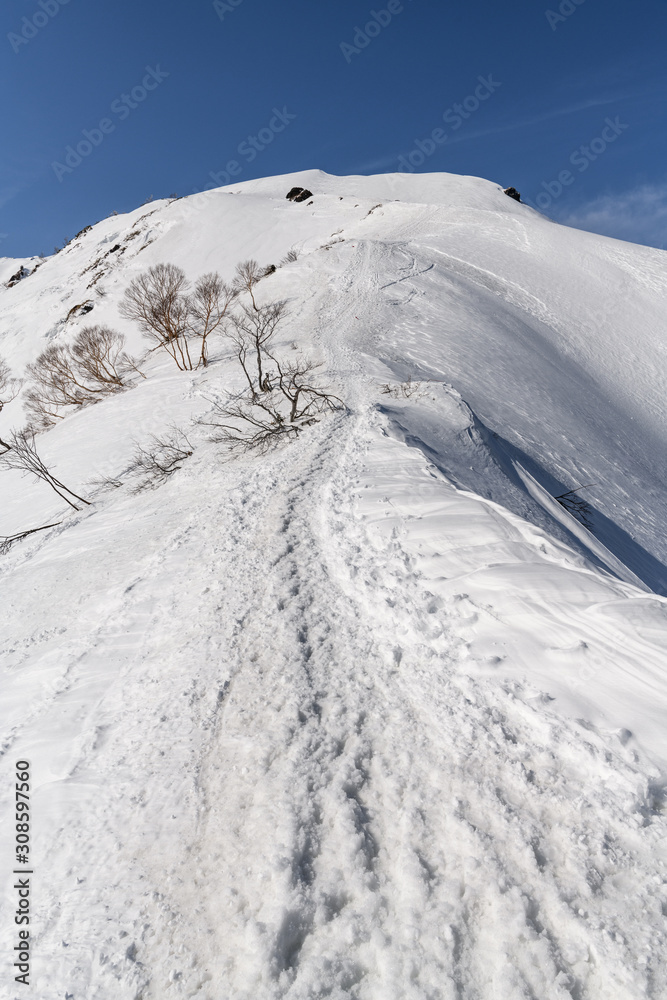Obraz premium 雪山のトレース