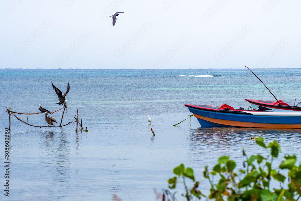 Φωτογραφία Wild pelican and egret birds perched near empty colorful fishing boats docked at sea harbor off the coast of tropical rural village