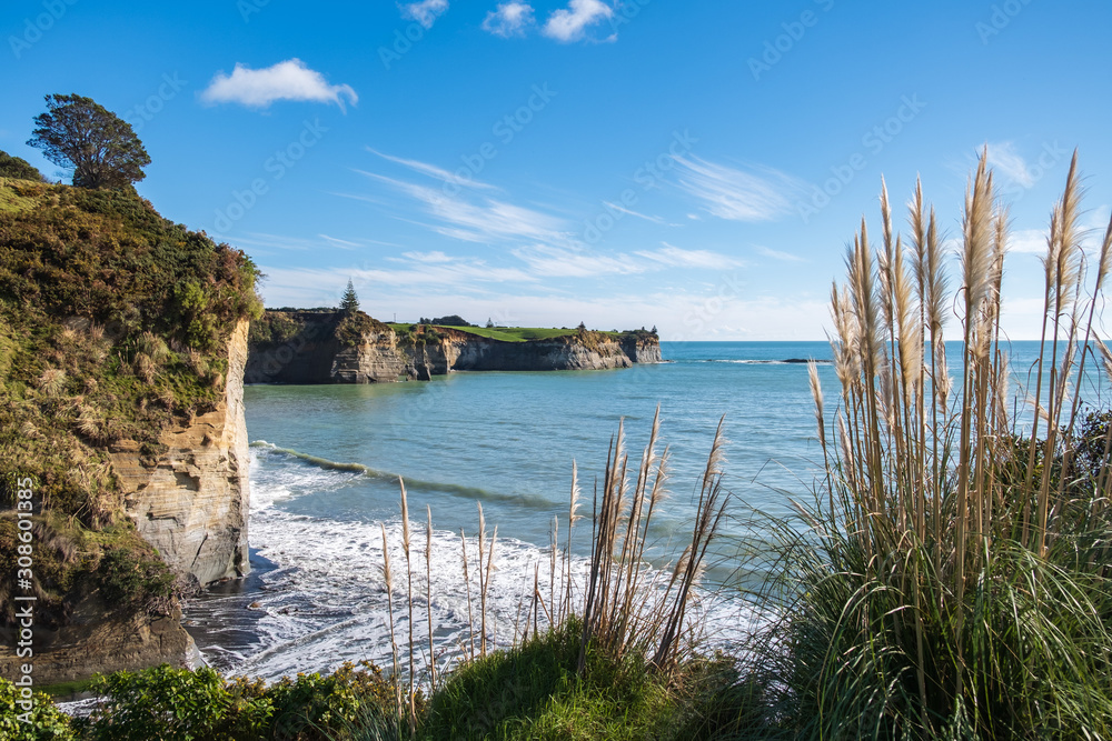 Obraz premium New Zealand coastal scenery ocean cliff sunny day