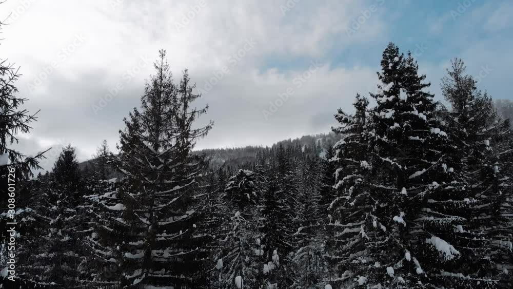 Winter landscape in the mountains aerial view, 4k drone.Trees spruce in the snow Winter landscape in the mountains aerial view, 4k drone.Trees spruce in the snow