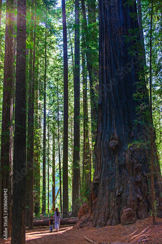 Frau mit Kind in den Redwoods