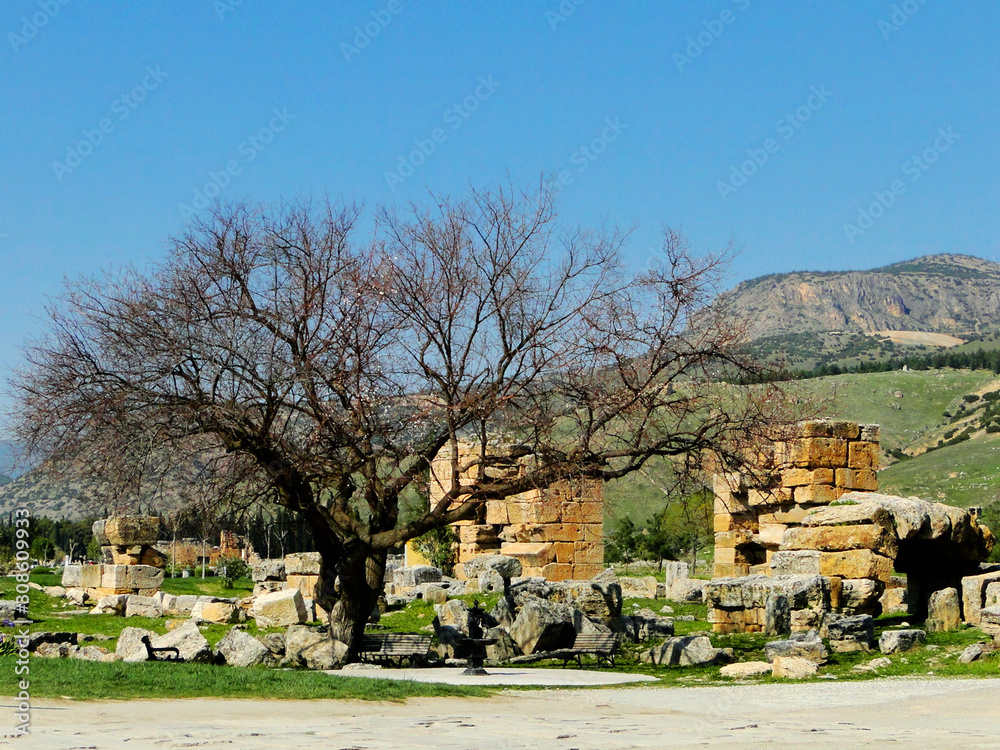 Landscape of ruins of Hierapolis old city in Pamukkale, Turkey. Hierapolis is an UNESCO World Heritage Site, famous by its calcium springs, most places built on limestone above mineral spring.