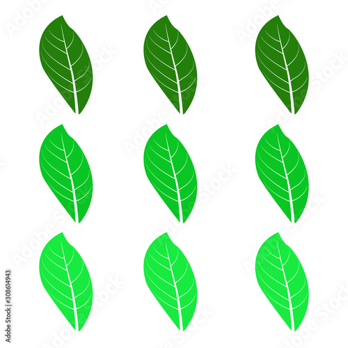 Leaf icon. Design template vector © sobahus surur