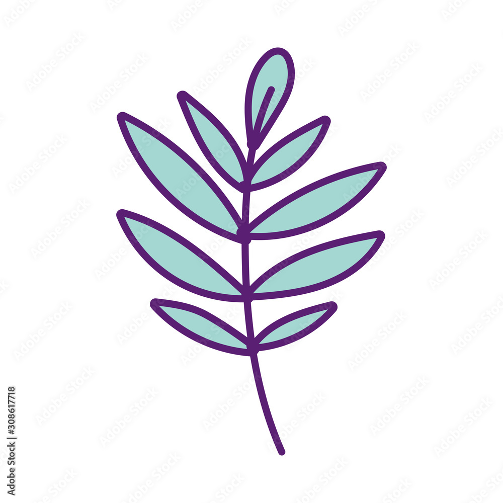 botanical ecology branch leaves foliage decoration botanical ecology branch leaves foliage decoration