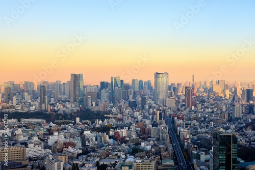 Fototapeta Naklejka Na Ścianę i Meble -  東京の風景